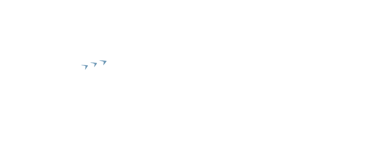 Color Overlay 6931