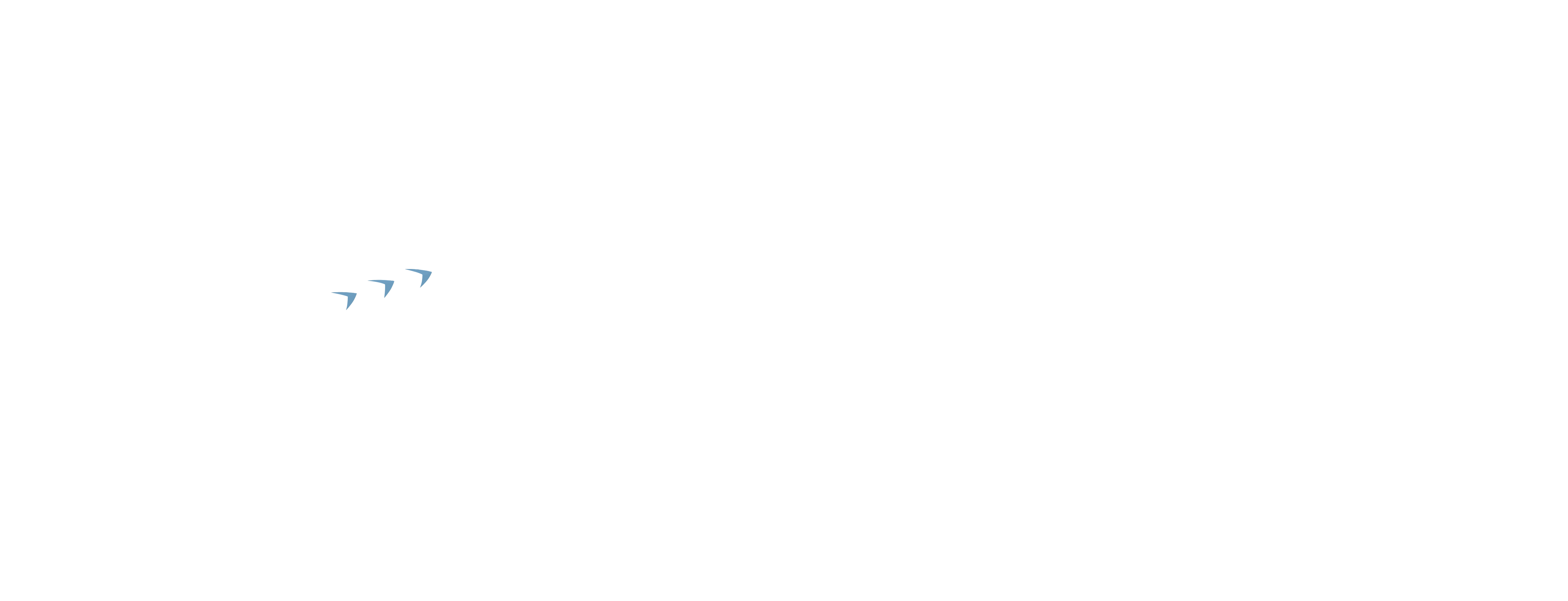Color Overlay 6891